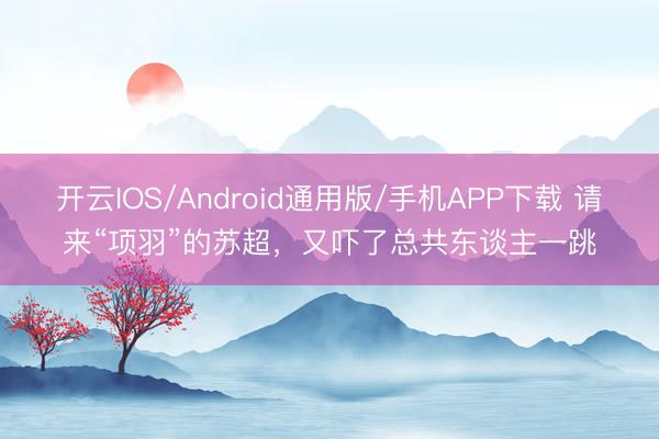 开云IOS/Android通用版/手机APP下载 请来“项羽”的苏超，又吓了总共东谈主一跳