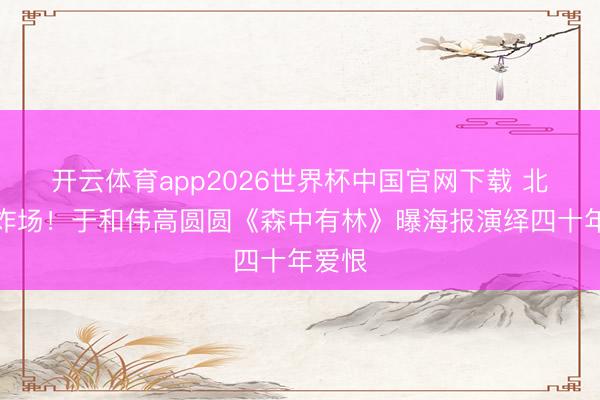 开云体育app2026世界杯中国官网下载 北影节炸场！于和伟高圆圆《森中有林》曝海报演绎四十年爱恨