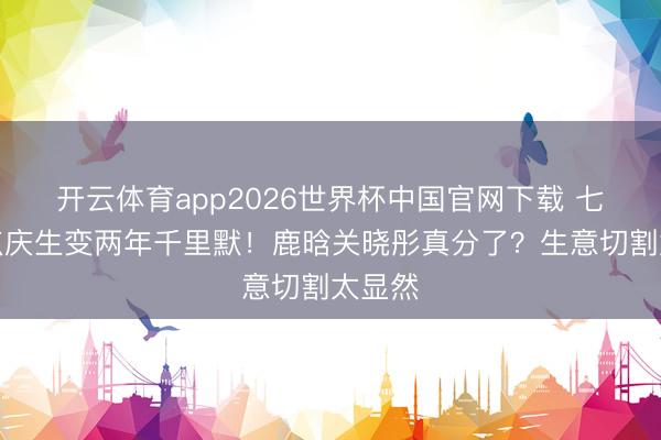 开云体育app2026世界杯中国官网下载 七年卡点庆生变两年