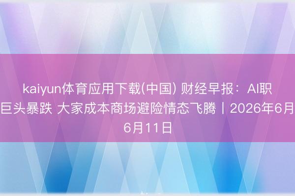 kaiyun体育应用下载(中国) 财经早报：AI职业器巨头暴跌 大家成本商场避险情态飞腾丨2026年6月11日