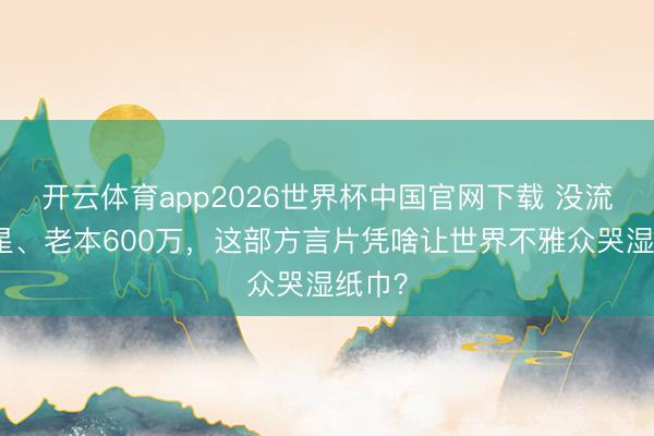 开云体育app2026世界杯中国官网下载 没流量明星、老本600万，这部方言片凭啥让世界不雅众哭湿纸巾？