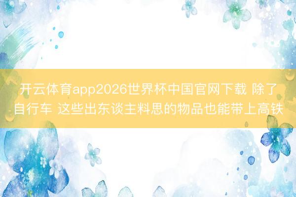 开云体育app2026世界杯中国官网下载 除了自行车 这些出东谈主料思的物品也能带上高铁