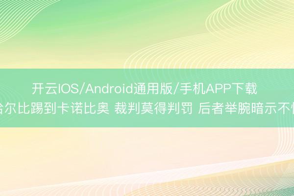 开云IOS/Android通用版/手机APP下载 哈尔比踢到卡诺比奥 裁判莫得判罚 后者举腕暗示不悦